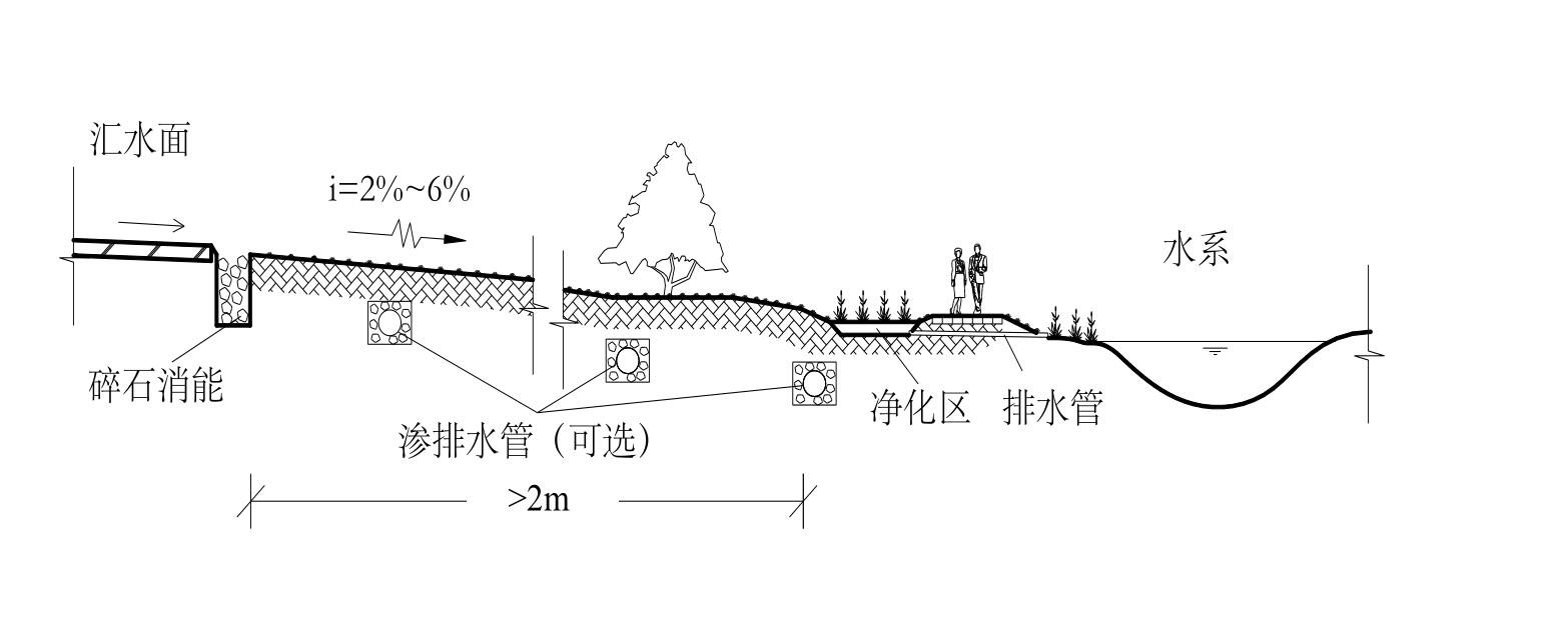 12 植被缓冲带                             